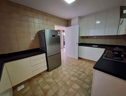 The Cairnhill (D9), Condominium #598382741